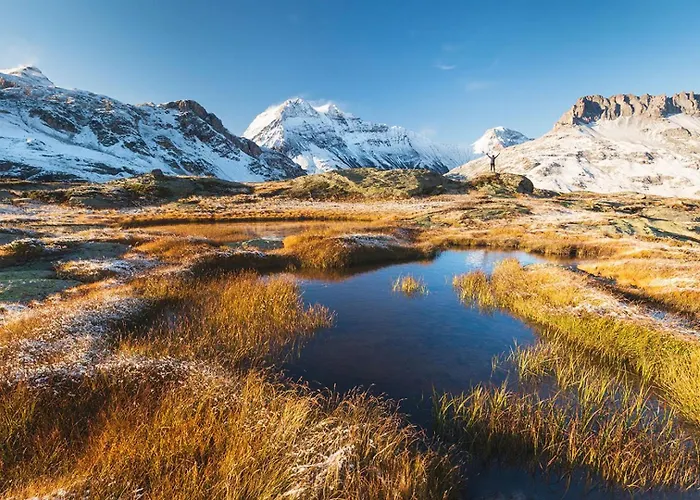 Jonquille 3 - A Comfortable Haven * シャモニー