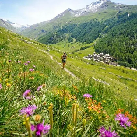 Jonquille 3 - A Comfortable Haven *