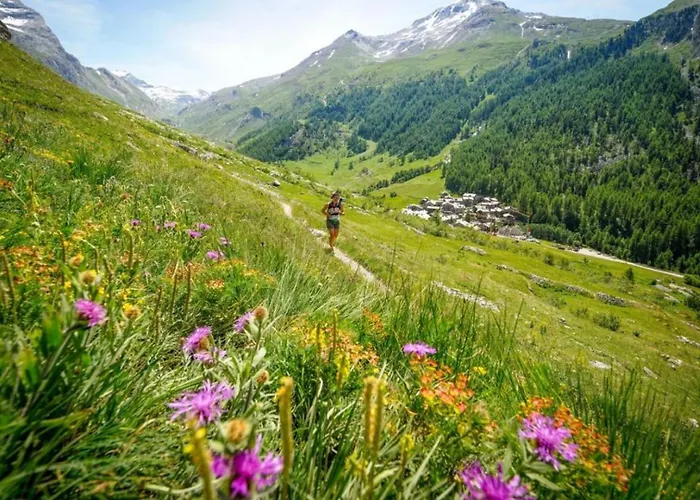 Jonquille 3 - A Comfortable Haven *