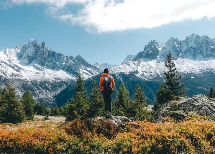 Апартаменты Jonquille 3 - A Comfortable Haven